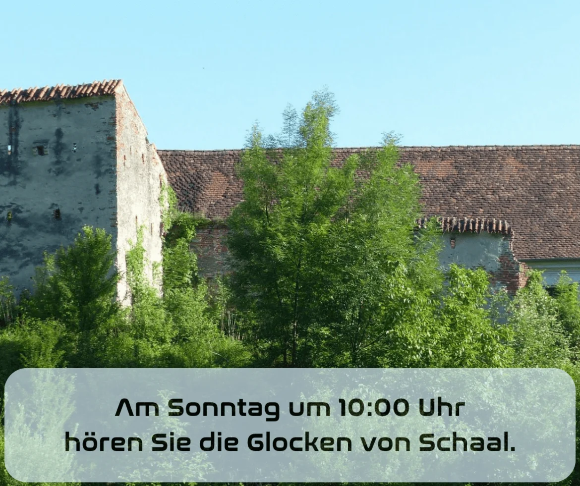 Wort zum Sonntag am 16.03.2025 mit Paul Sattler – Glocken aus Schaal